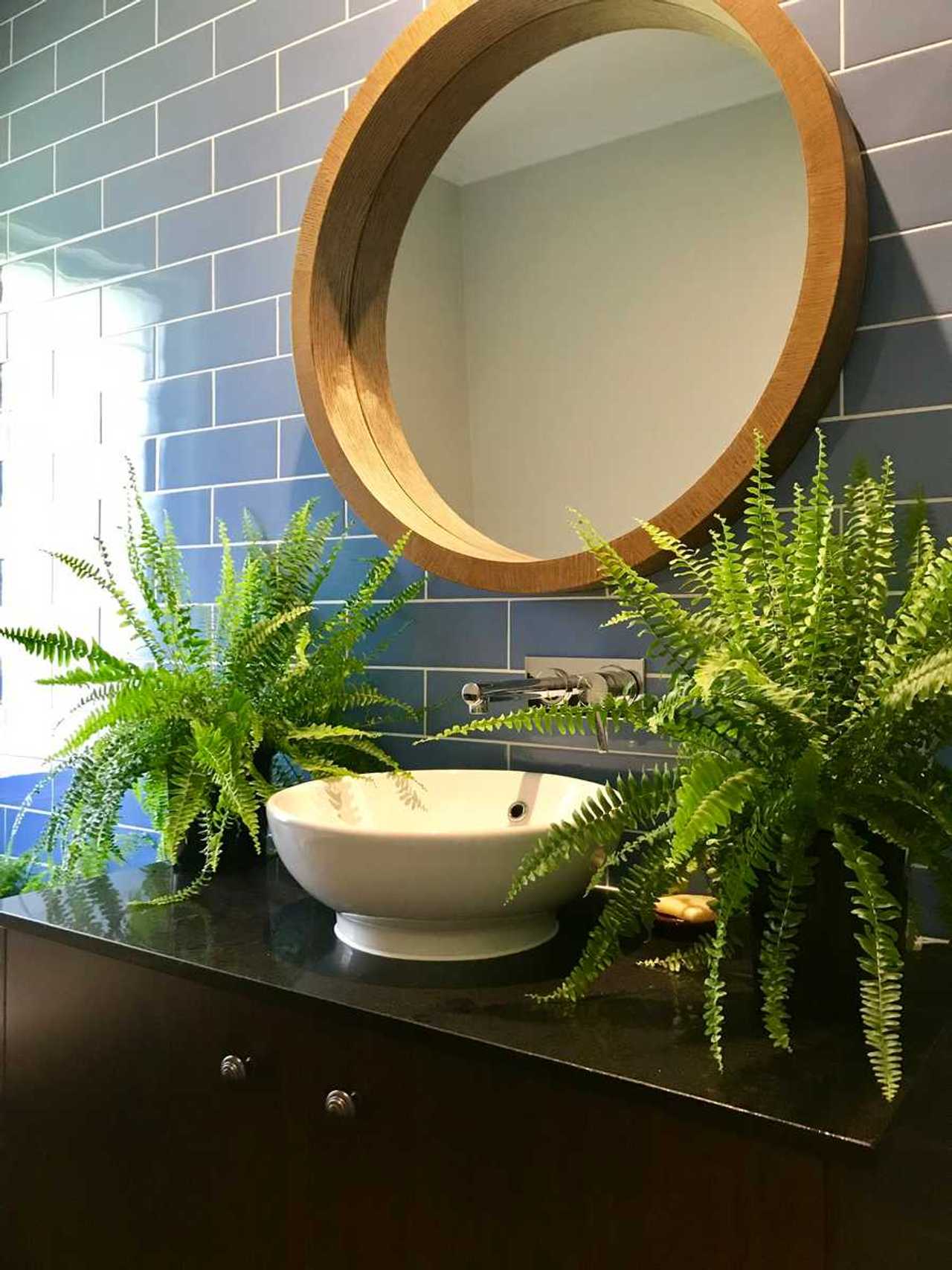 Tranquil Vegan B&B in Noosa region.  In house hospitality and charm 