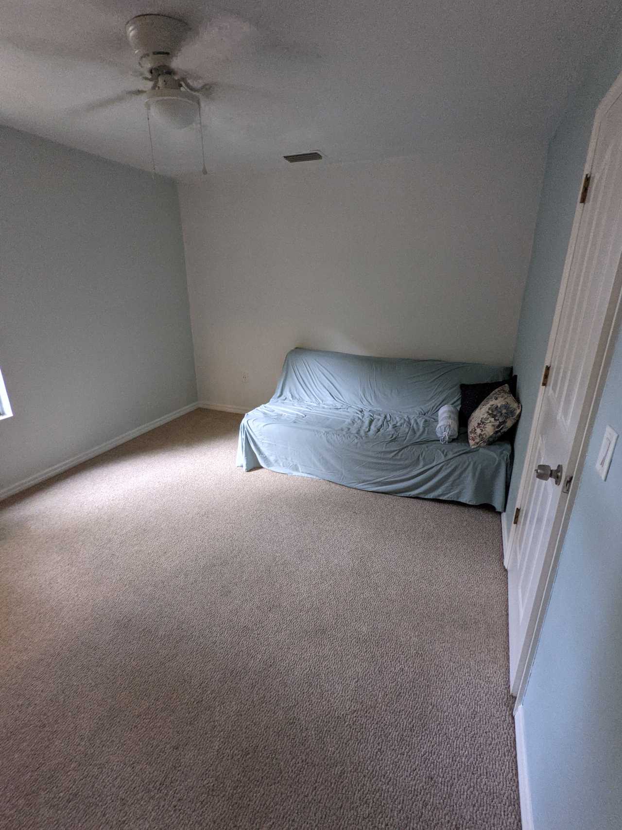 Friendly German Vegetarian non crazy Cat Lady offering a Futon :)