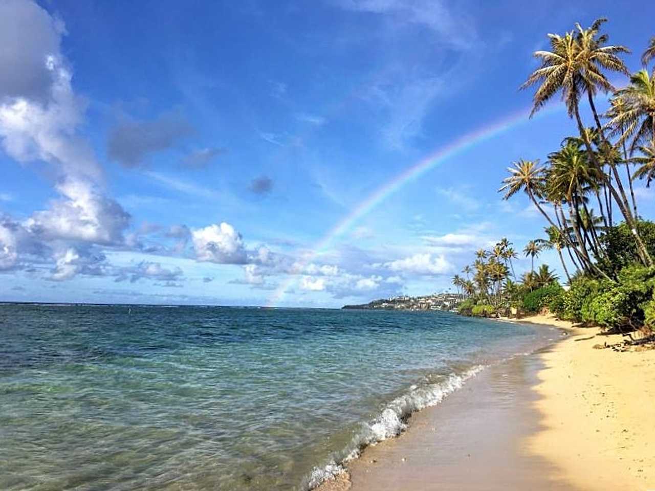 Cozy Room in Amazing Diamond Head Location