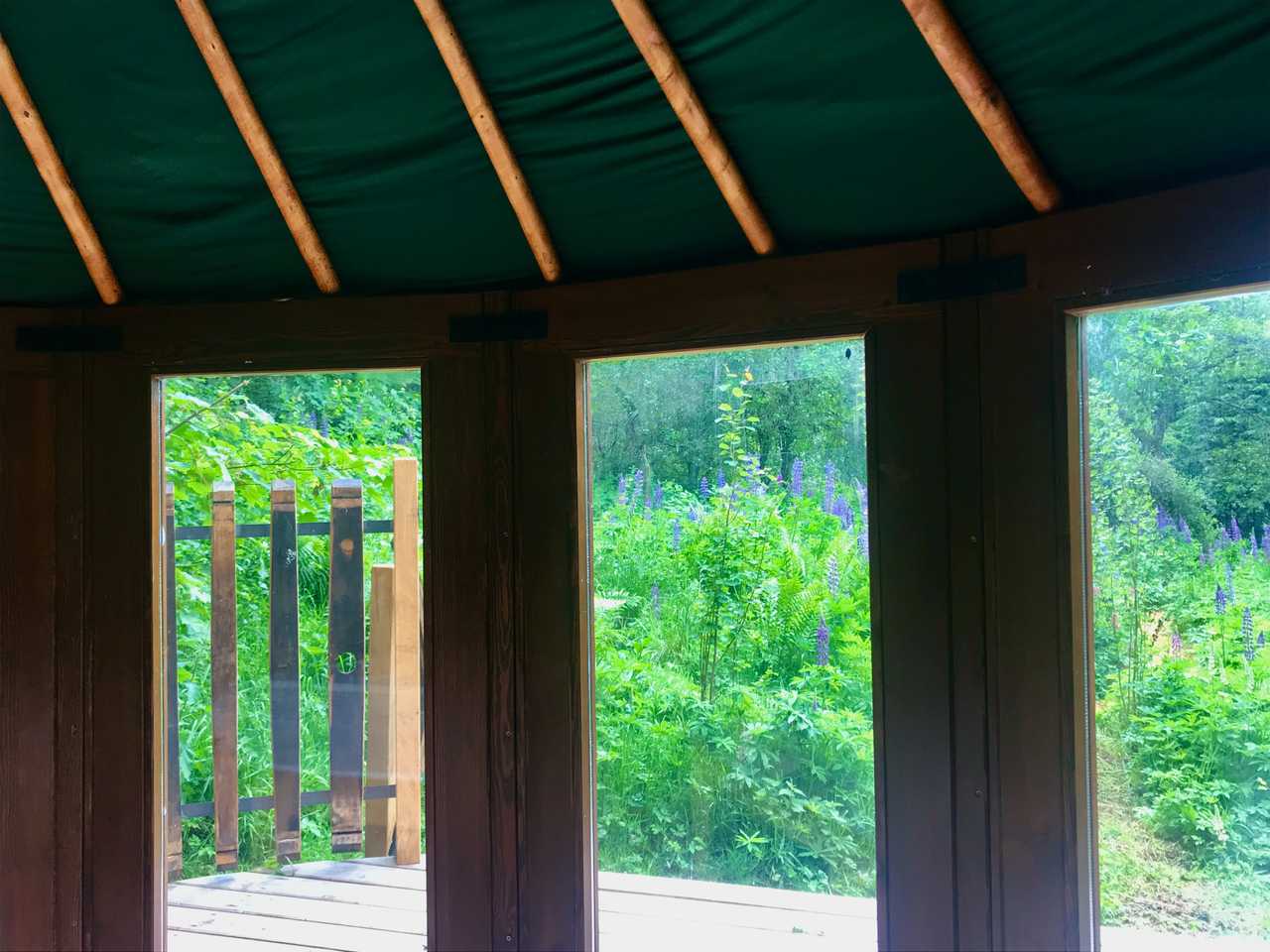 Bramble Yurt in nature Paradies