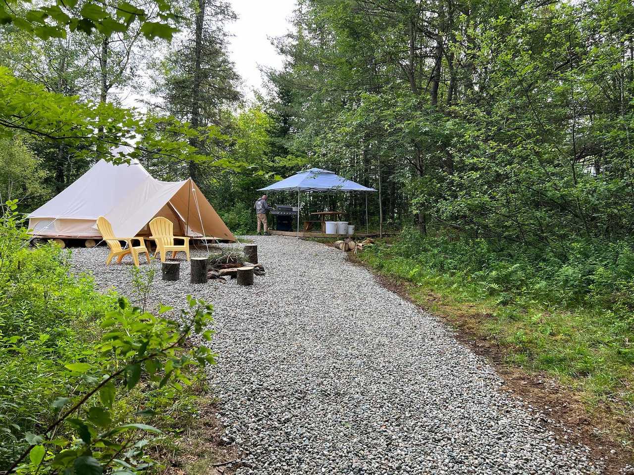 Forested Retreat at Harmony Farm Sanctuary and Wellness Center