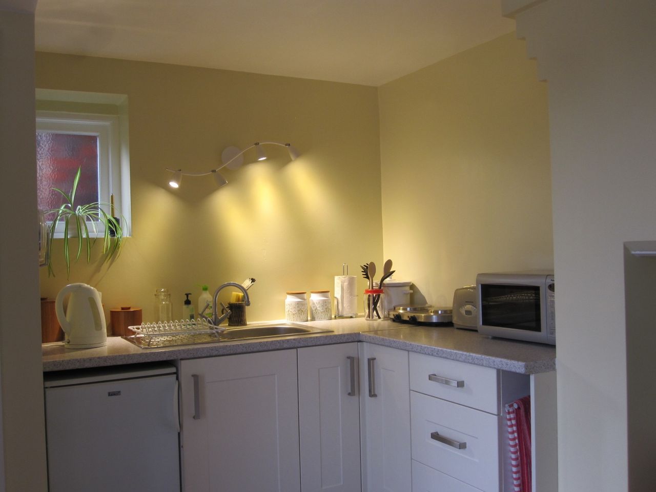 Quiet, spacious garden flat, easy walk to town.