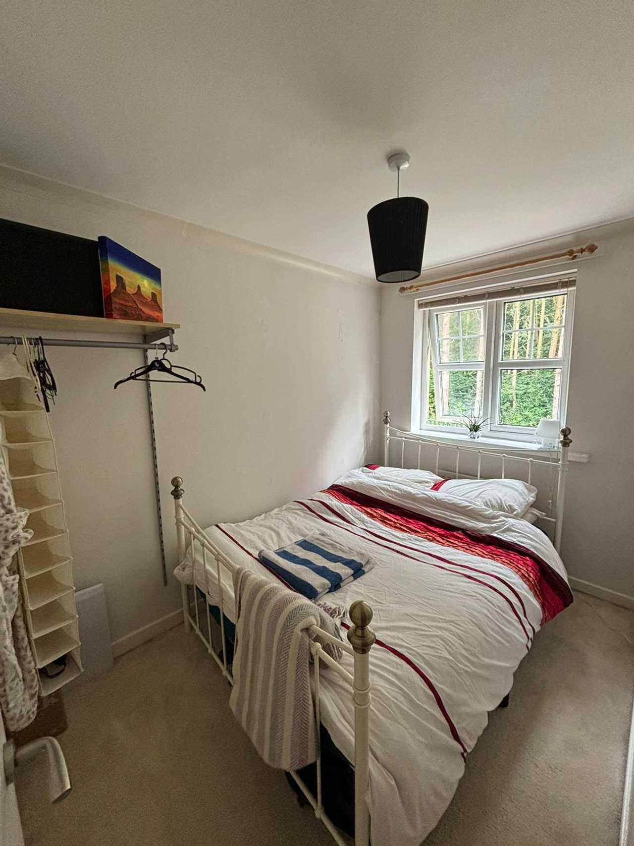 Spare room in a lovely plant-based household