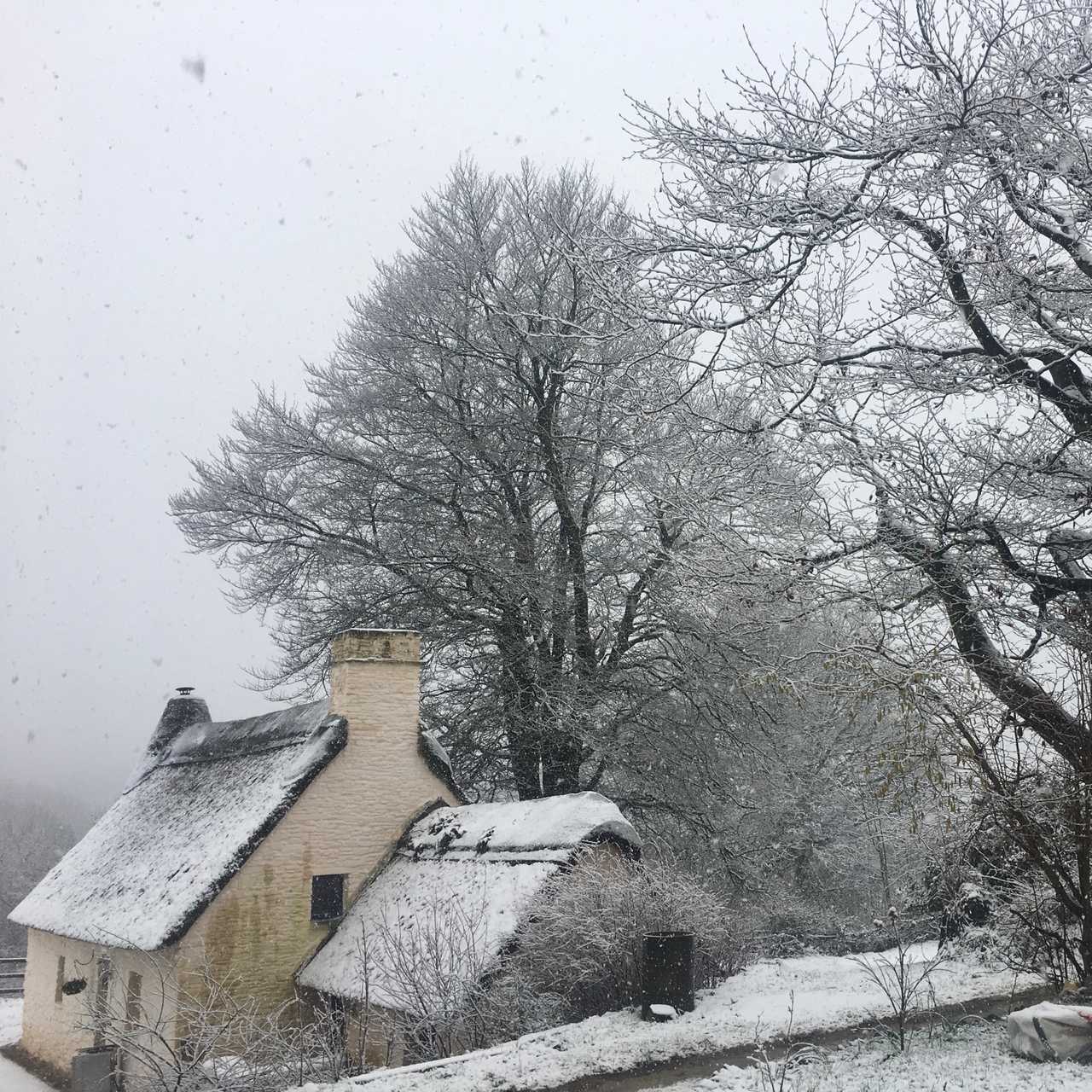 Magical 18th thatched cottage with stunning views, amazing vegan meals & hot tub