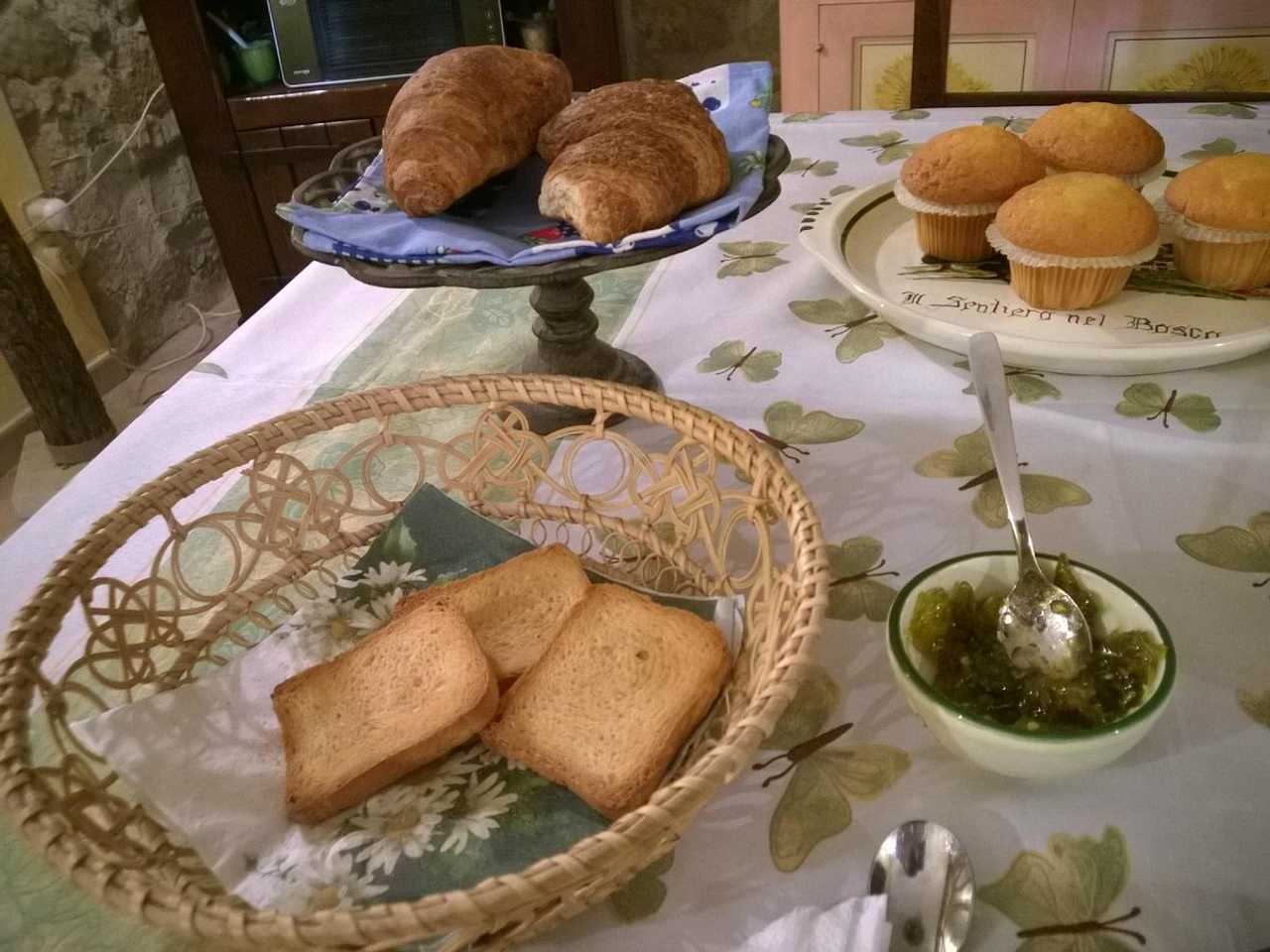 Nelle terre di San Francesco