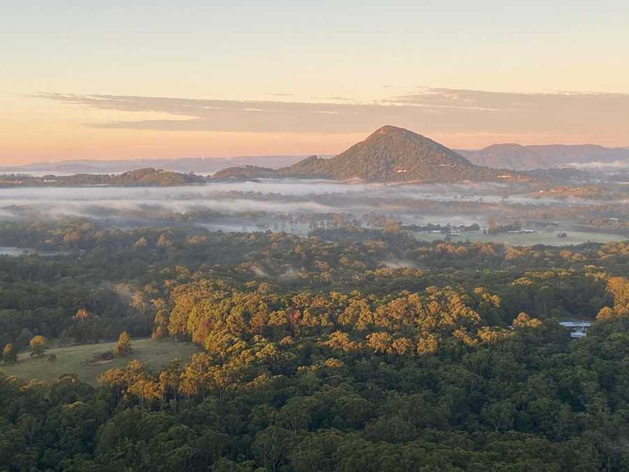 Tranquil Vegan B&B in Noosa region.  In house hospitality and charm 