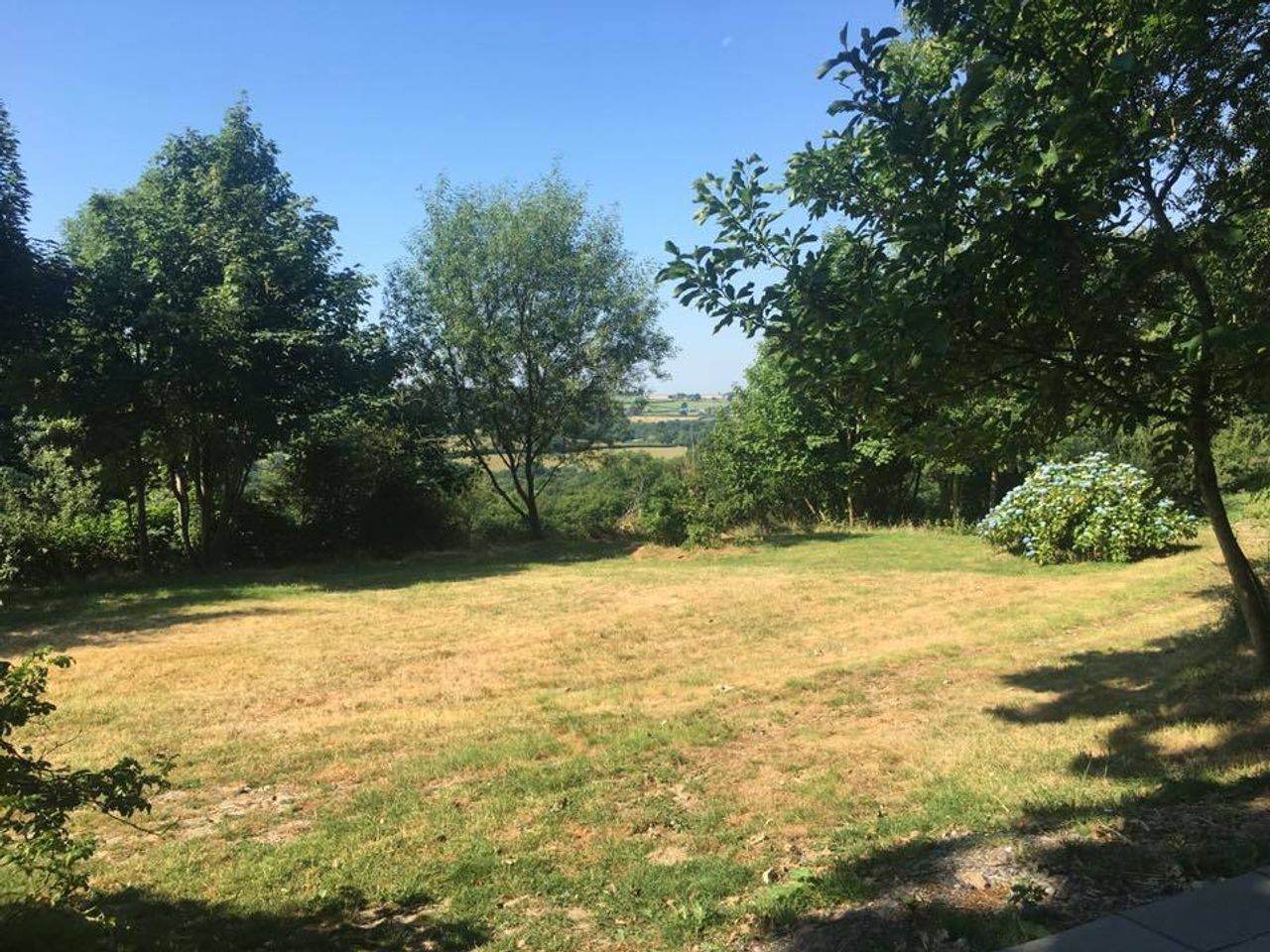 Robin's Realm - the affordable Welsh veggie countryside retreat
