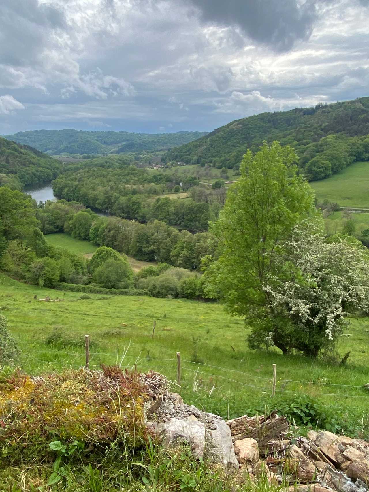 Beautiful gypsy wagon in nature