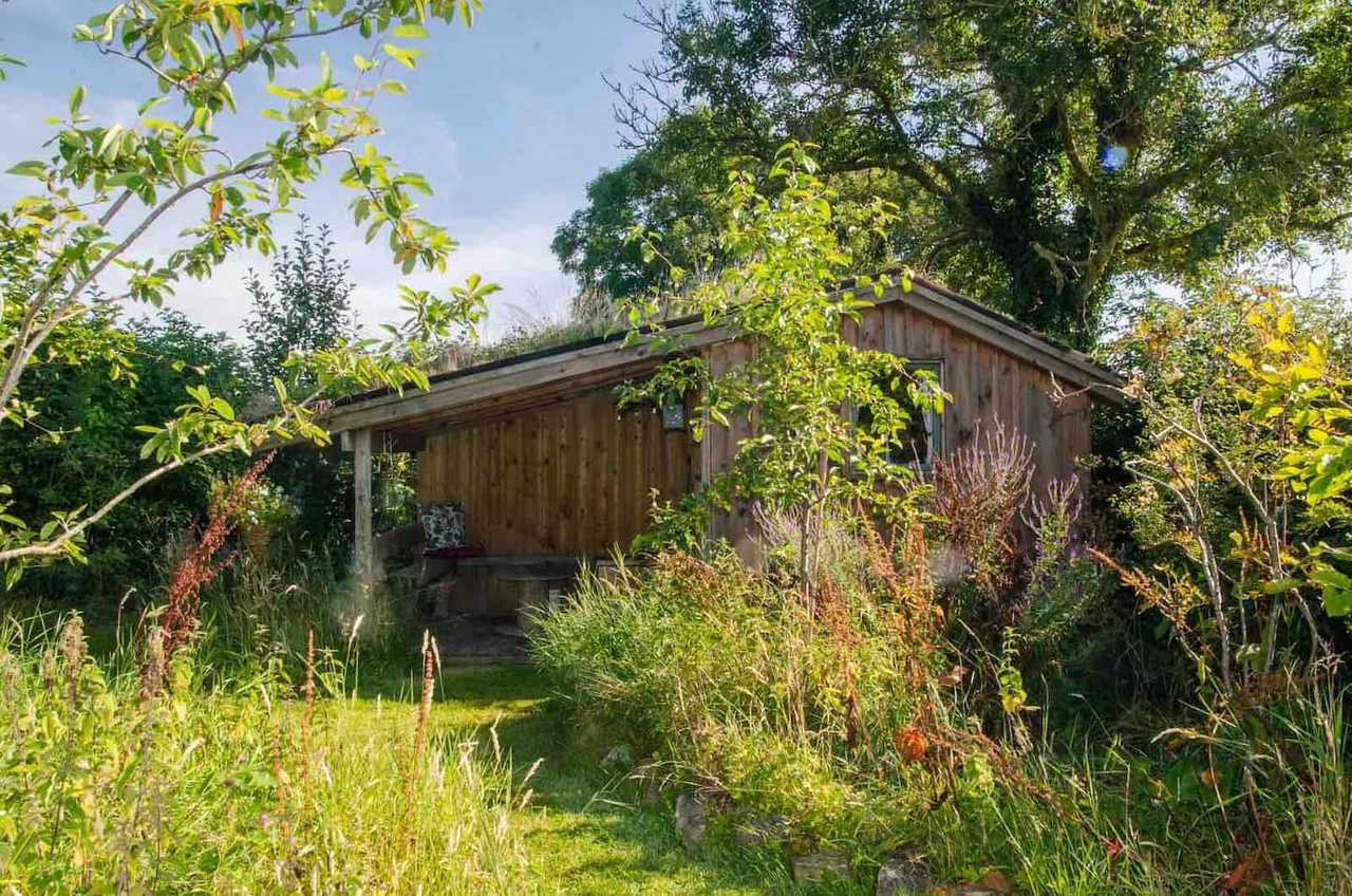 Secluded Cabin on Vegan animal sanctuary 