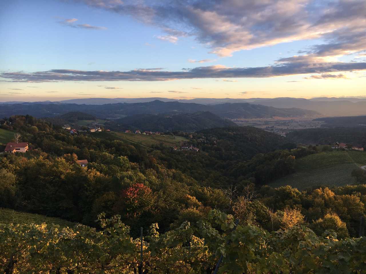 Varm - the vegan farm - a kind of sanctuary for animals and humans