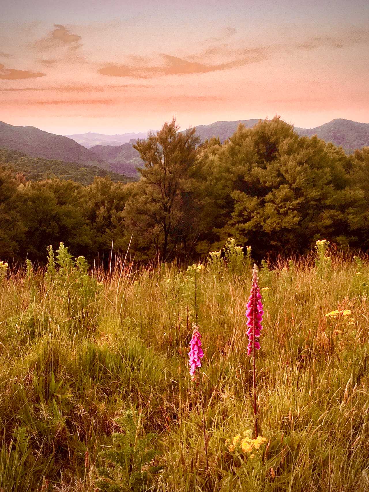 Room to roam, grow your soul, eat drink breathe veganic. Escape winter. Evolve.
