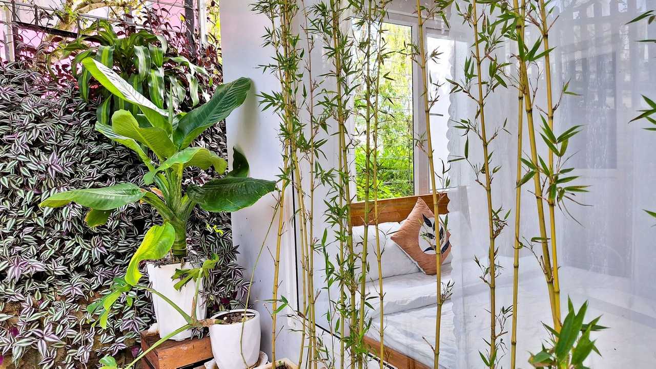 Queen Room with Garden View-Valley & Vegan Villa