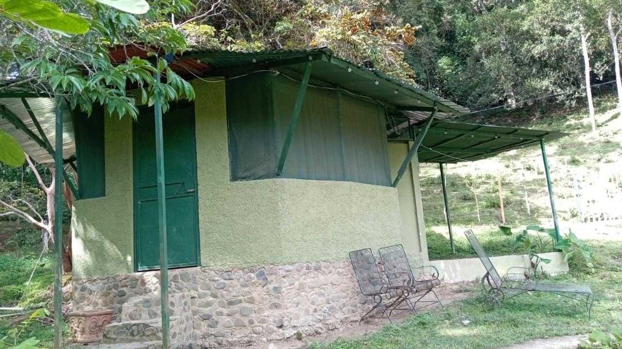Private room or guesthouse on our VEGAN Animal Sanctuary