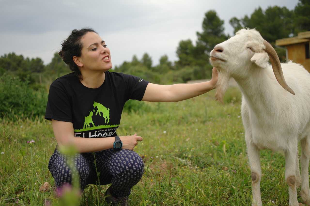 Hospedaje solidario La Cabaña dentro de un santuario de animales rescatados