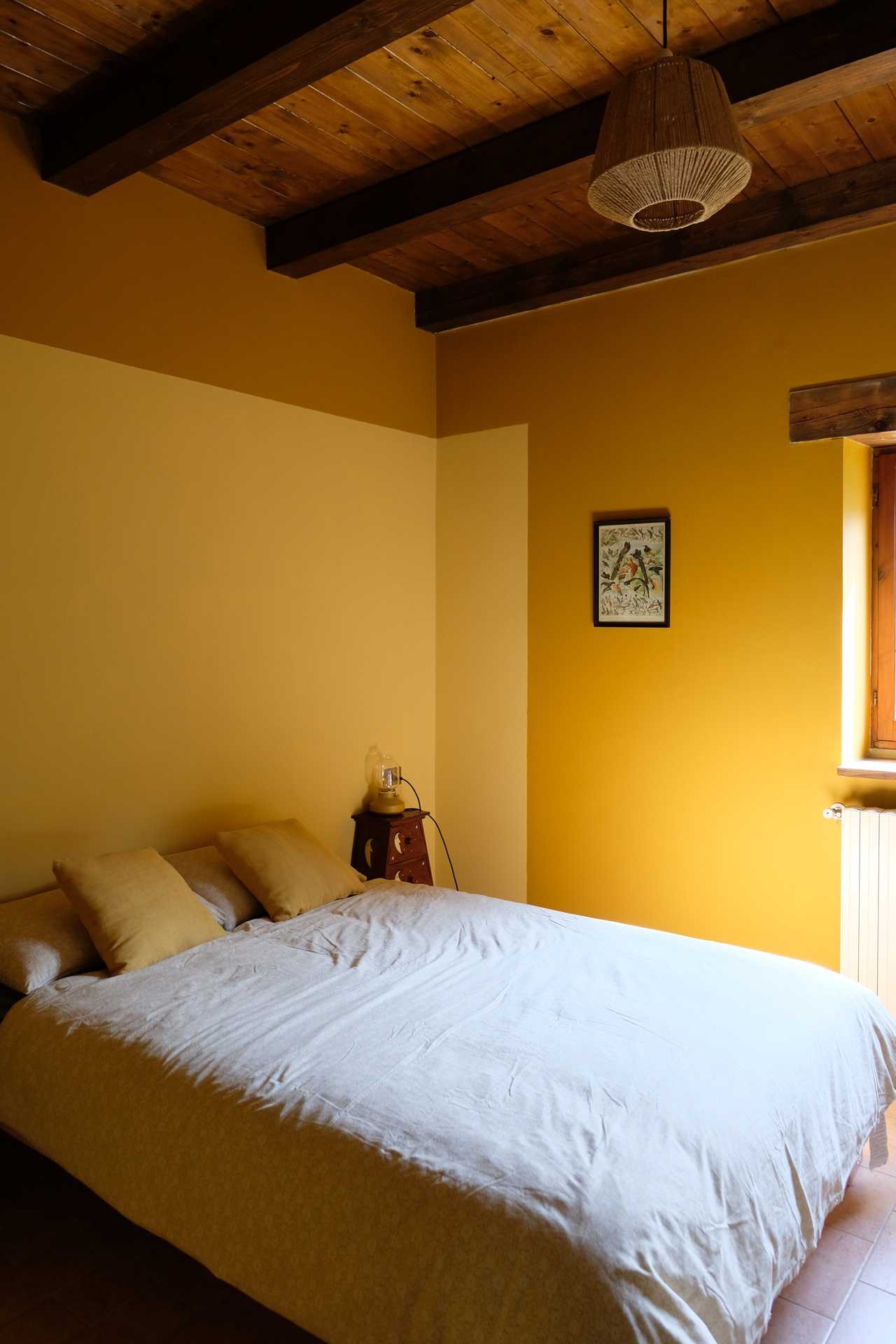 Apartement in vegan b&b immersed in nature, the perfect place to escape