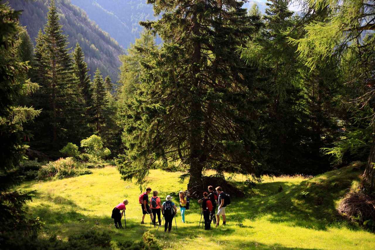 A remote mountain retreat, with daily yoga and guided hikes.