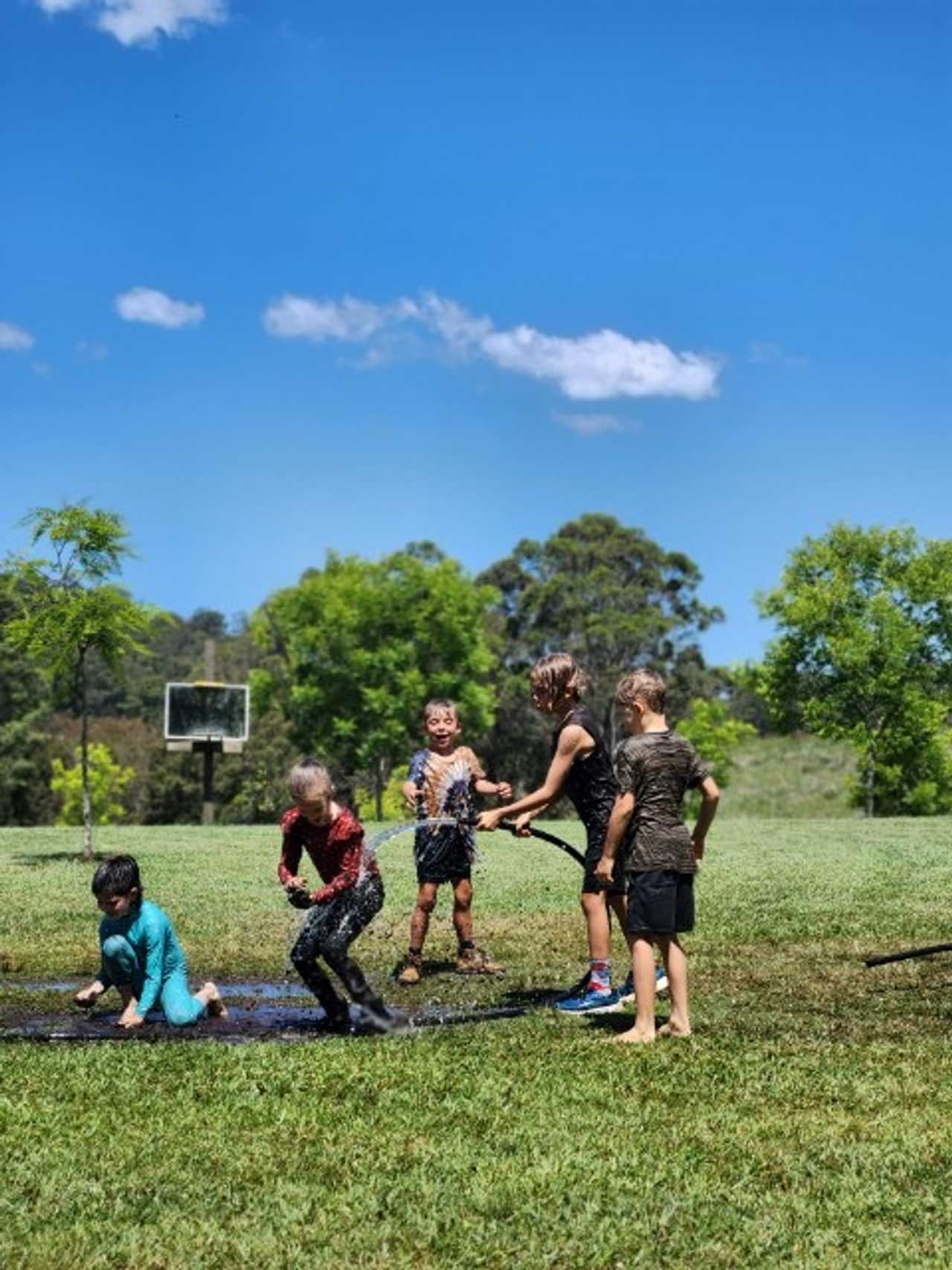 Organic Veggie Farm Camping
