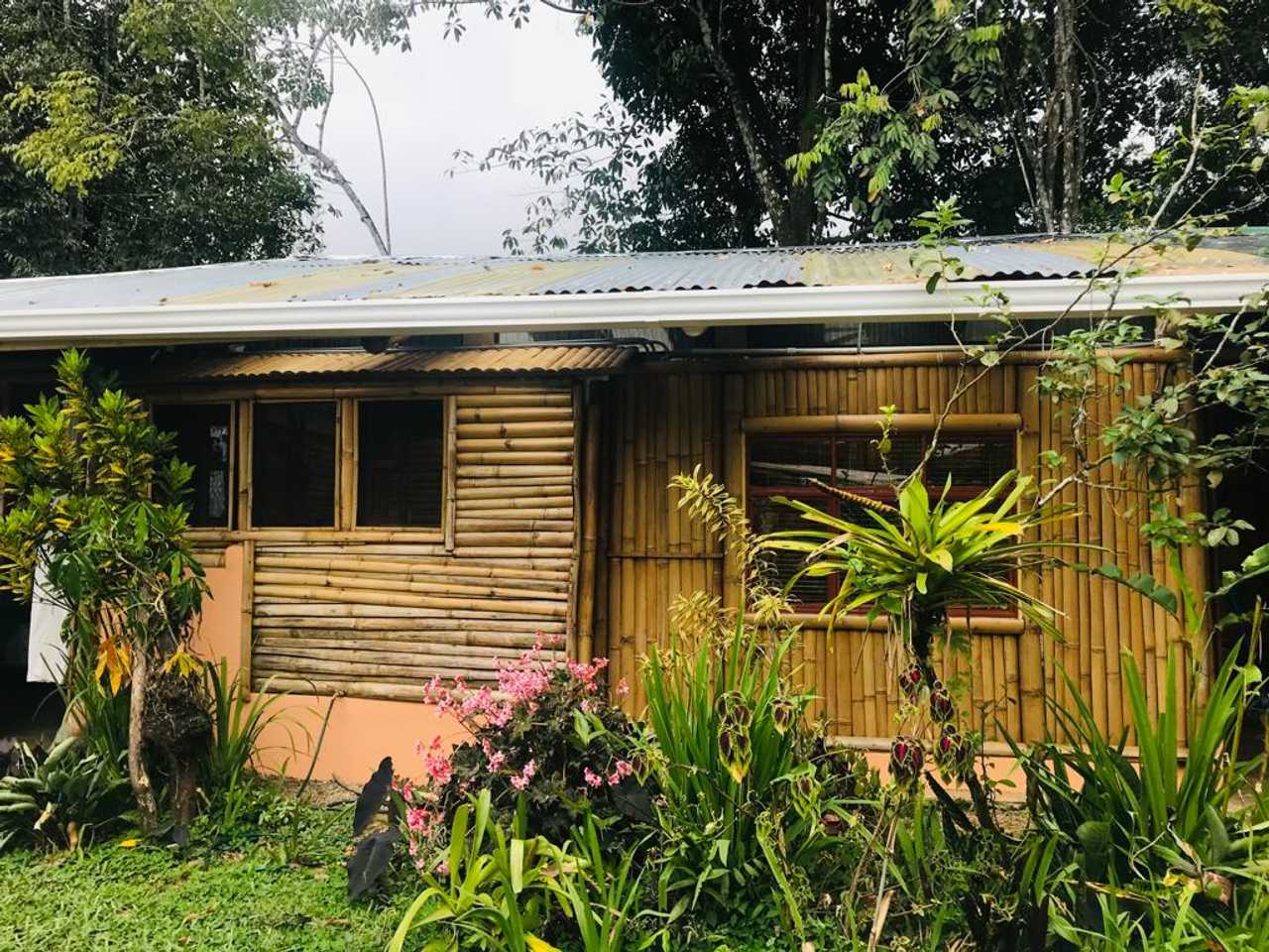 Delightful cabin with epic ocean and mountain views "The Healing Sanctuary"