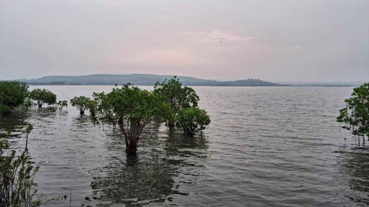 Satvic Serenity Homestay-2BHK Villa in a coastal village