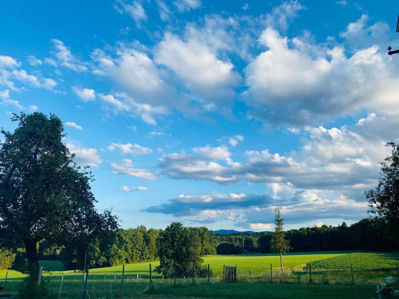 Varm - the vegan farm - a kind of sanctuary for animals and humans