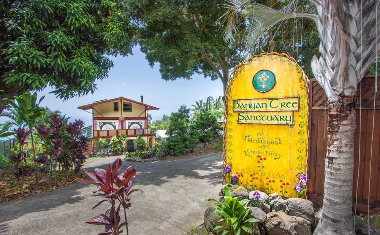 Whole Sanctuary for Families/Friends/Weddings - Ocean view!