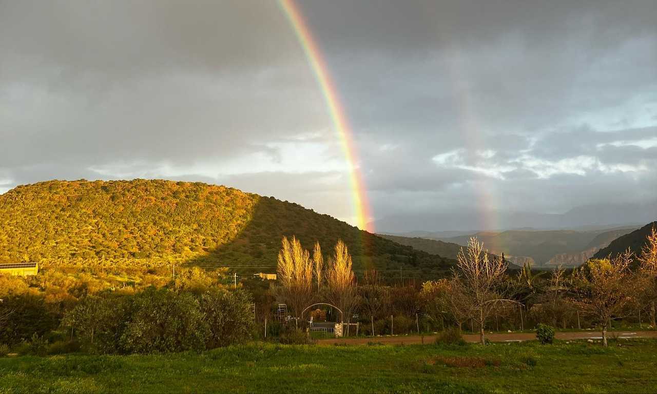 The Top House @ Ricky's Drift Vegan Farm and Animal Sanctuary