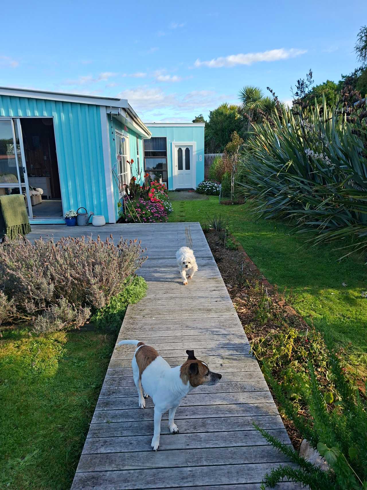 Little Blue Beach Batch. Organic veg garden, dogs, beach access, infrared sauna