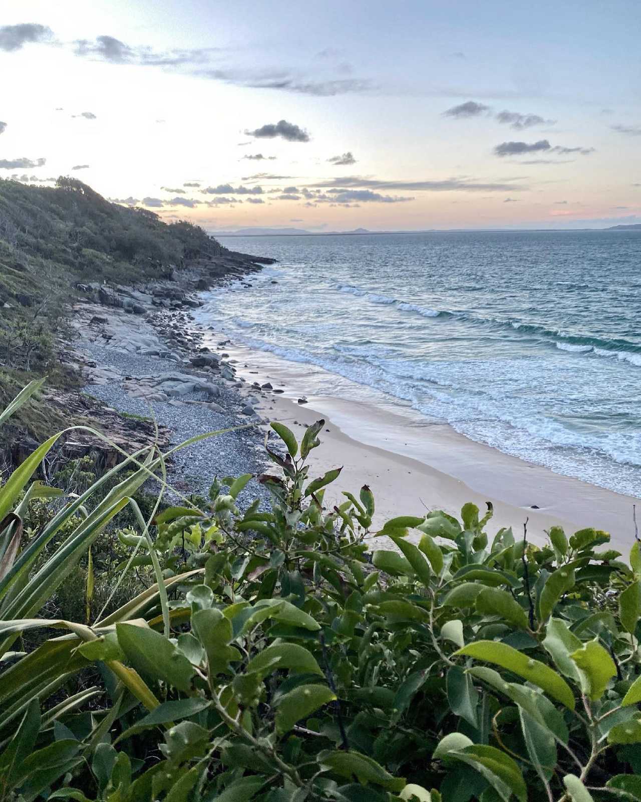 Tranquil Vegan B&B in Noosa region.  In house hospitality and charm 