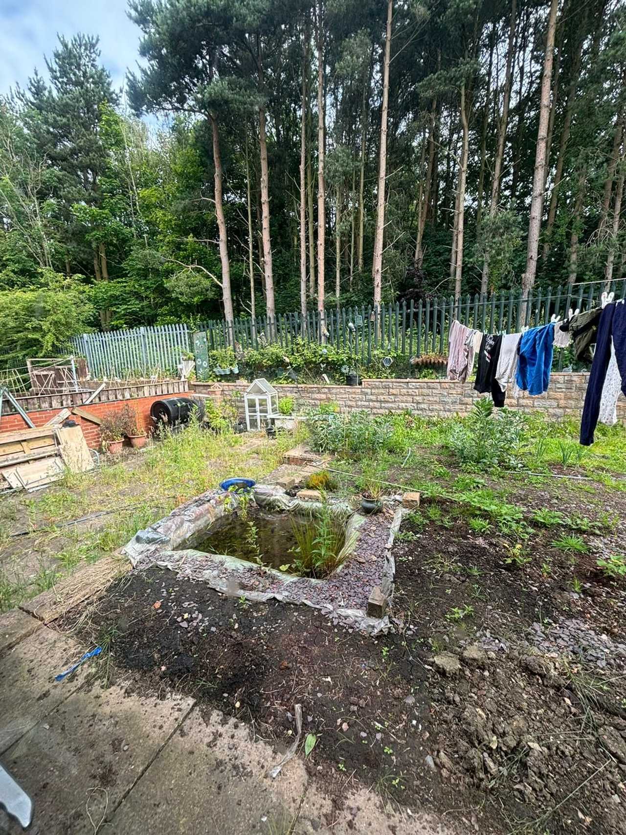 Spare room in a lovely plant-based household