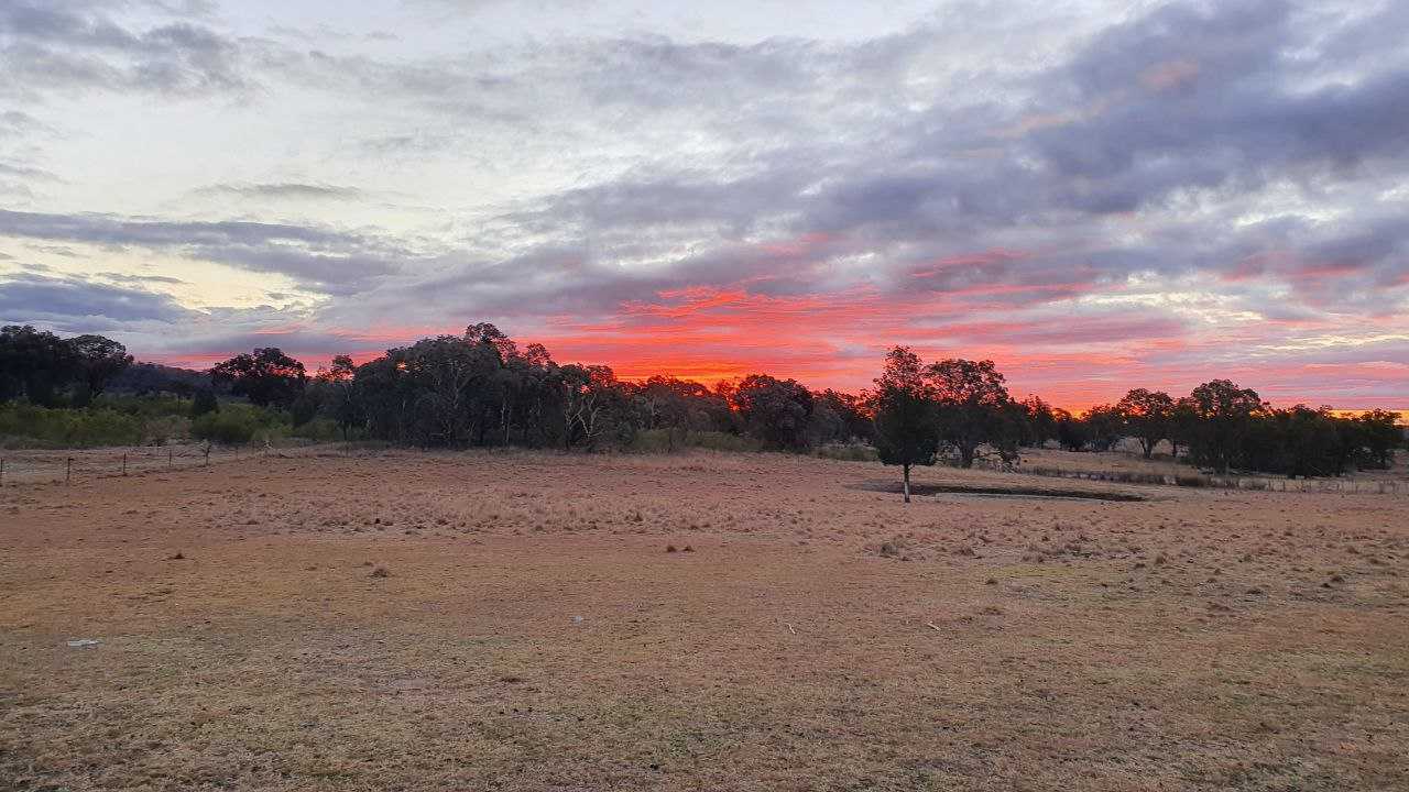 Off-Grid Vegan Getaway