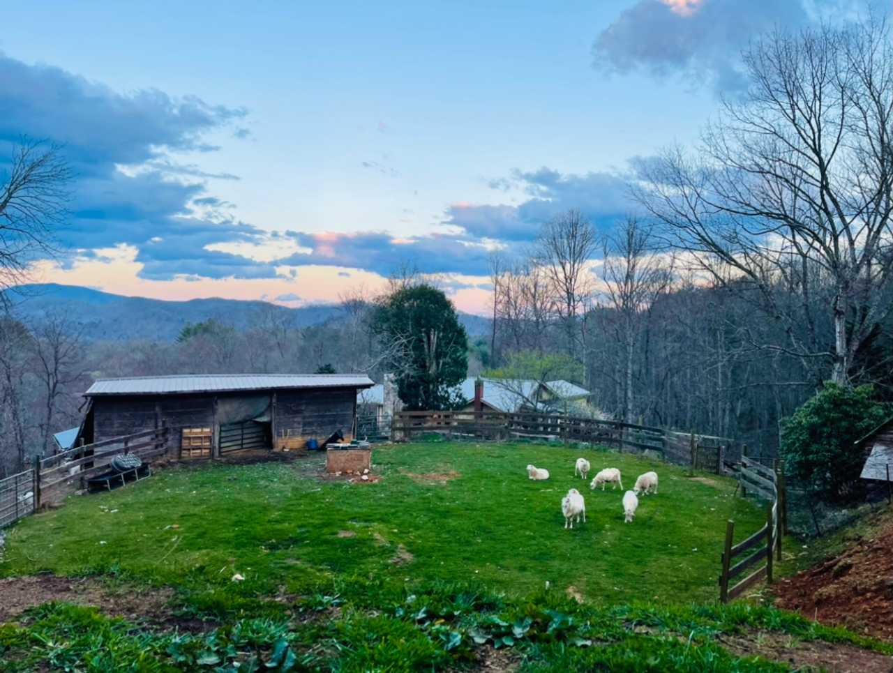 Cozy Cabin: Peaceful Haven in the Heart of Nature at the Blue Heart Sanctuary