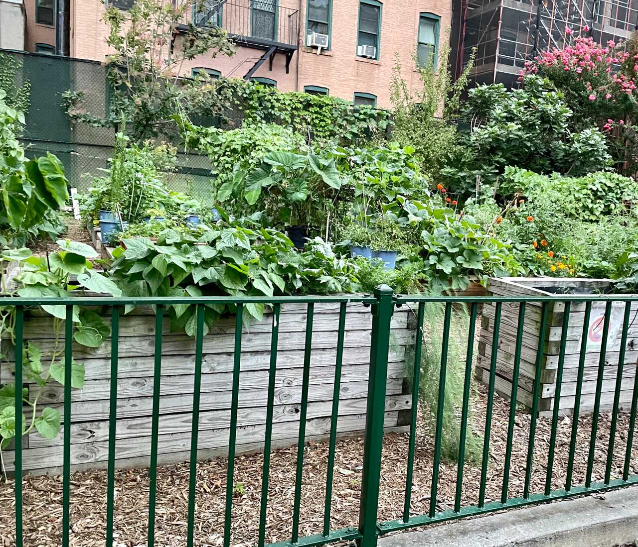 Close to the subway stop, central park, and museum mile, with 24-hr doorman!