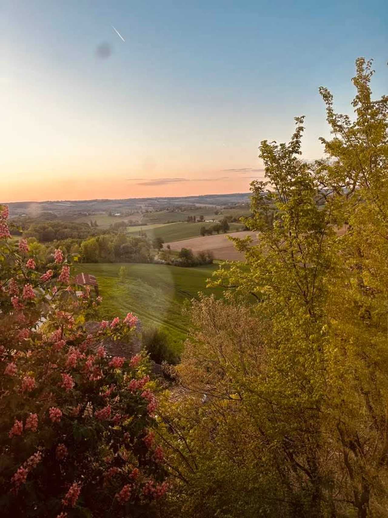 The Vegan Chateau in the Southwest of France