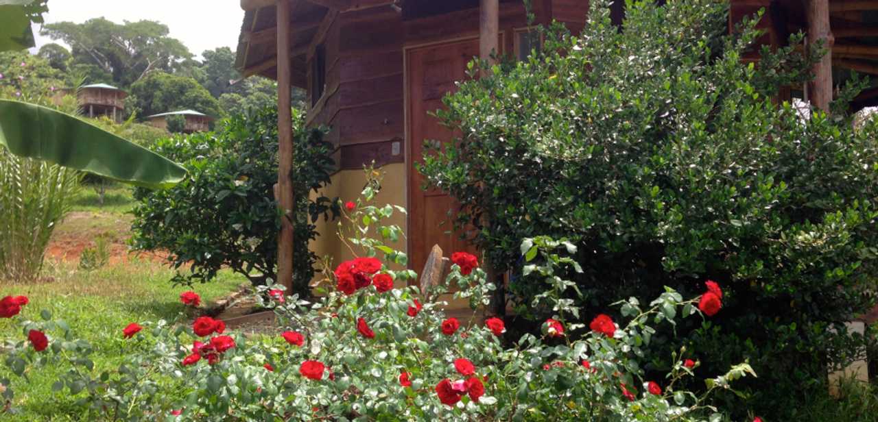 Affordable Vacation for the Healthy Lifestyle & Natural Healing Center