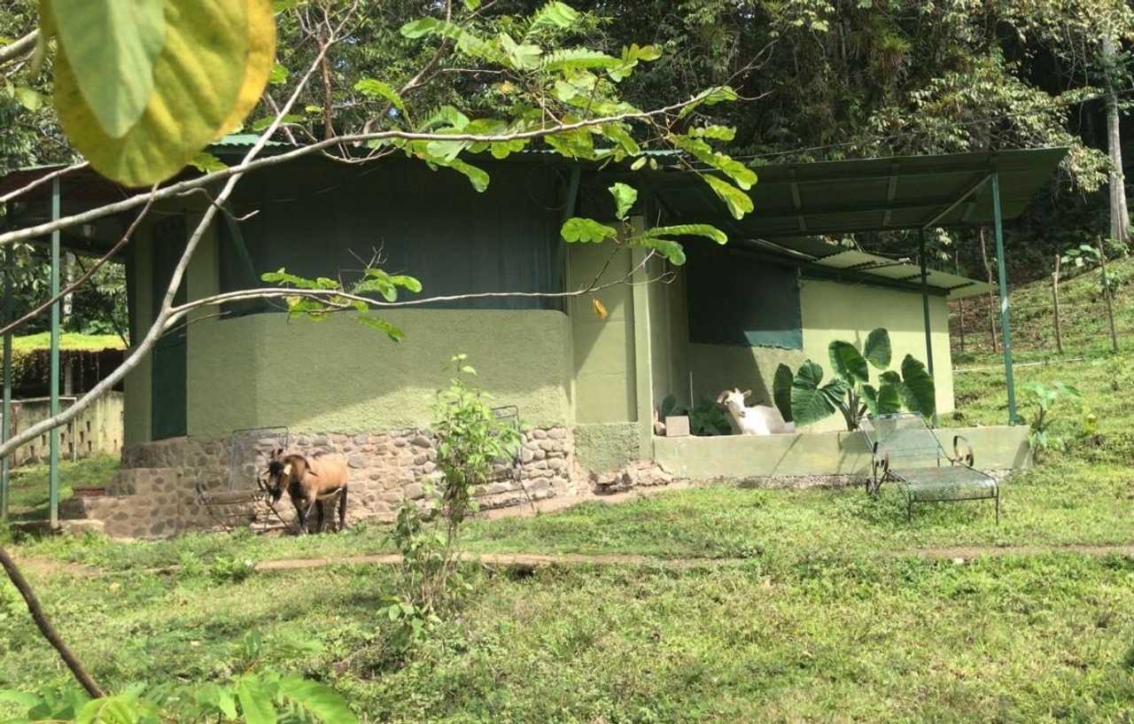 Private room or guesthouse on our VEGAN Animal Sanctuary