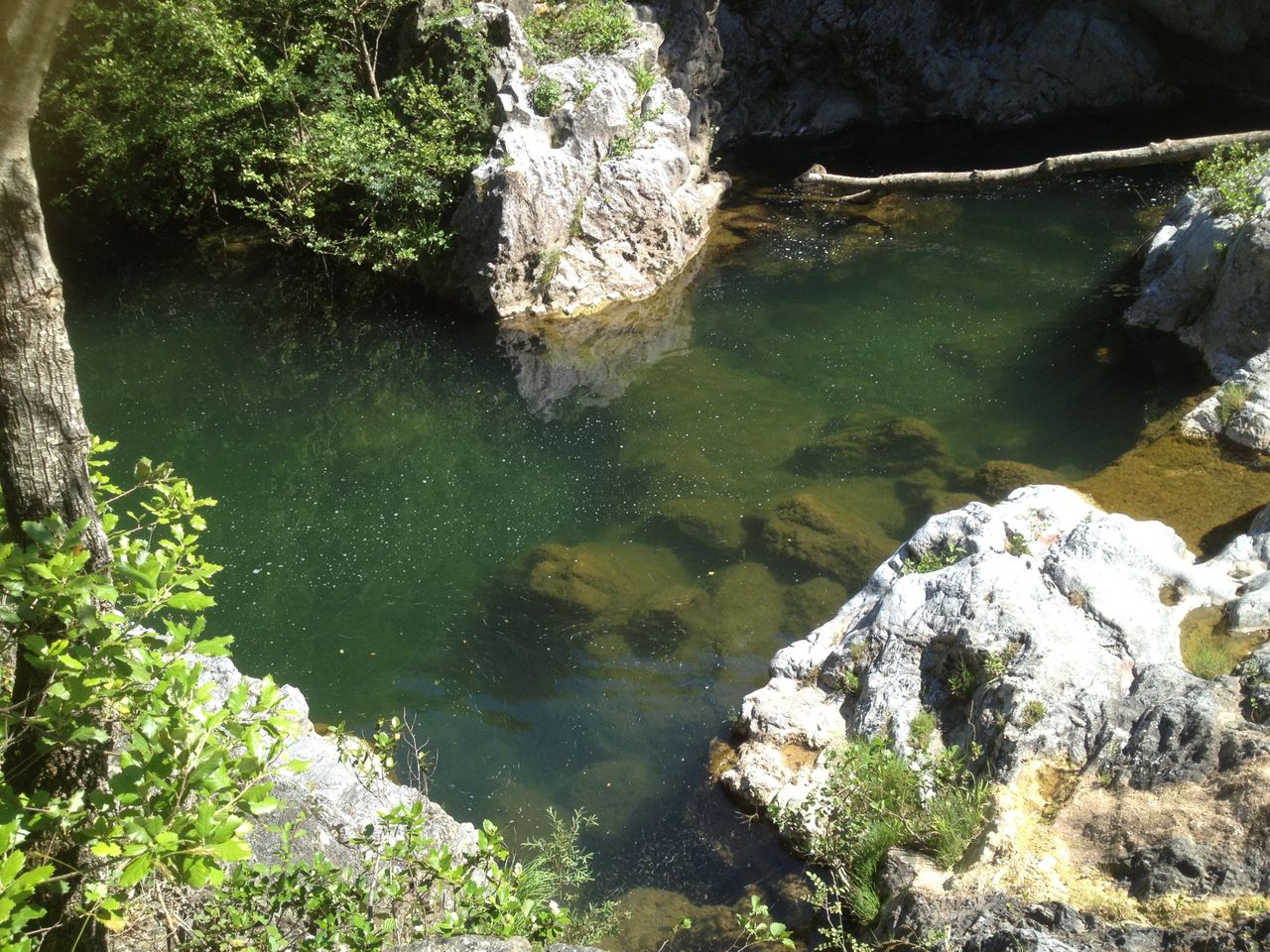 Back to Nature at the Mill!