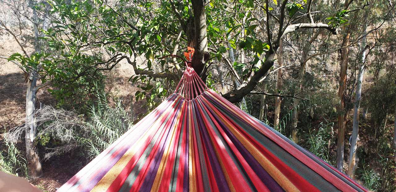 Casita Botánica at peacefull vegan Oasis besides river Pereila
