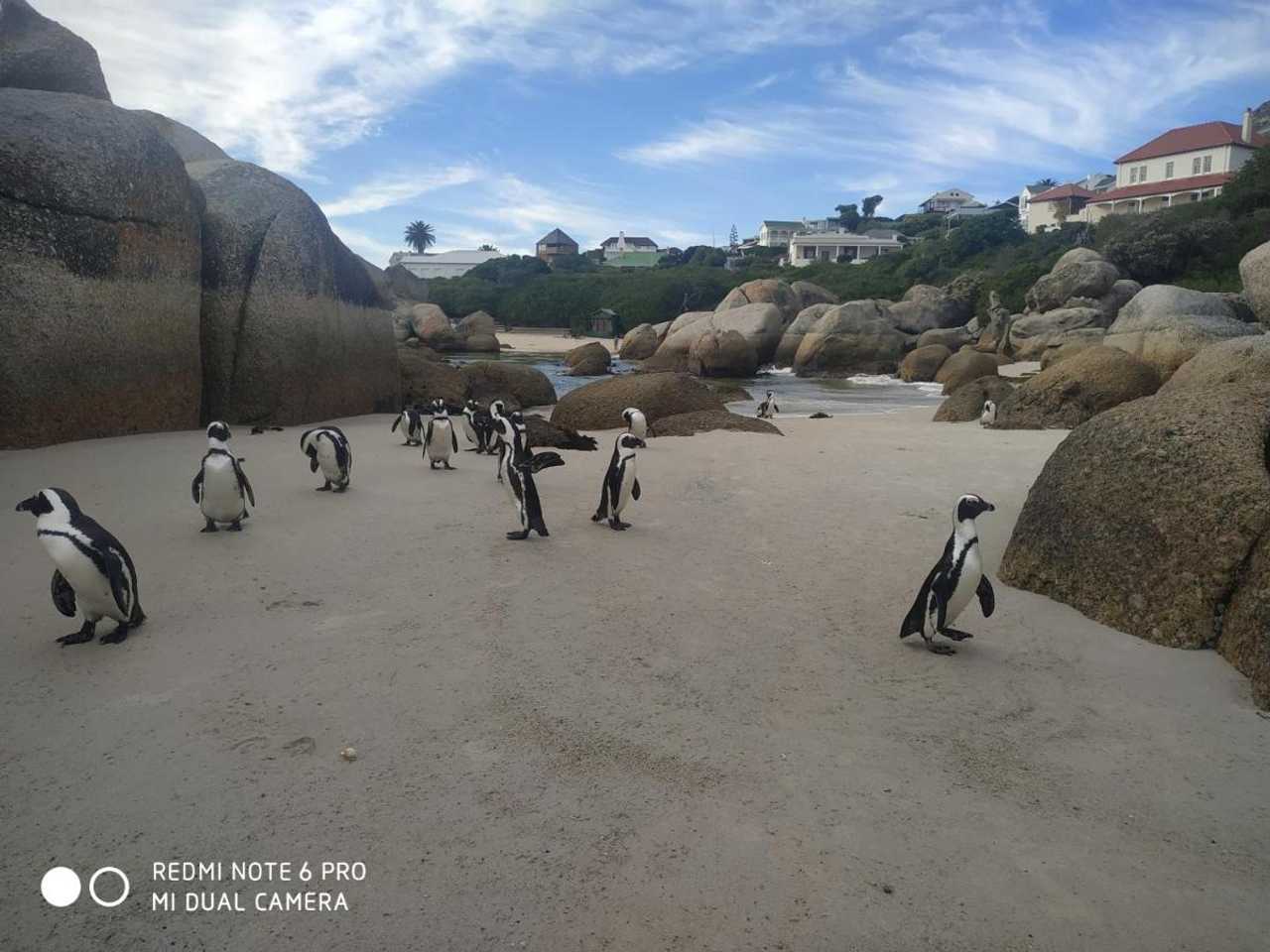 Magical, peaceful and good for the soul, Kommetjie
