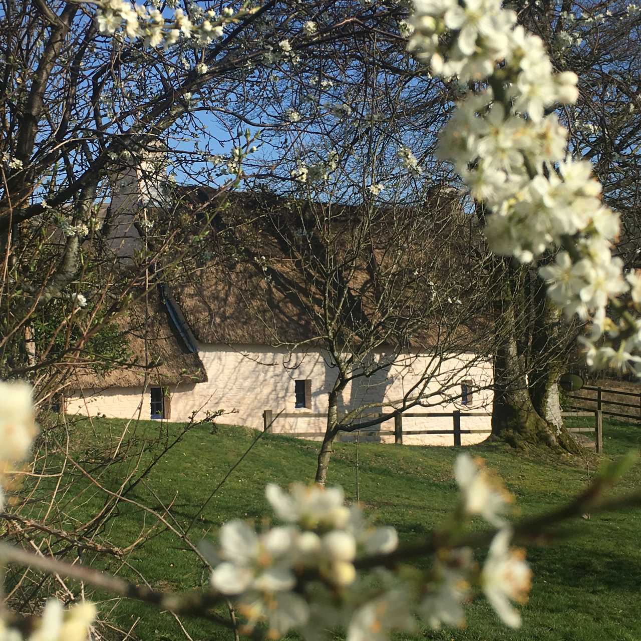 Magical 18th thatched cottage with stunning views, amazing vegan meals & hot tub