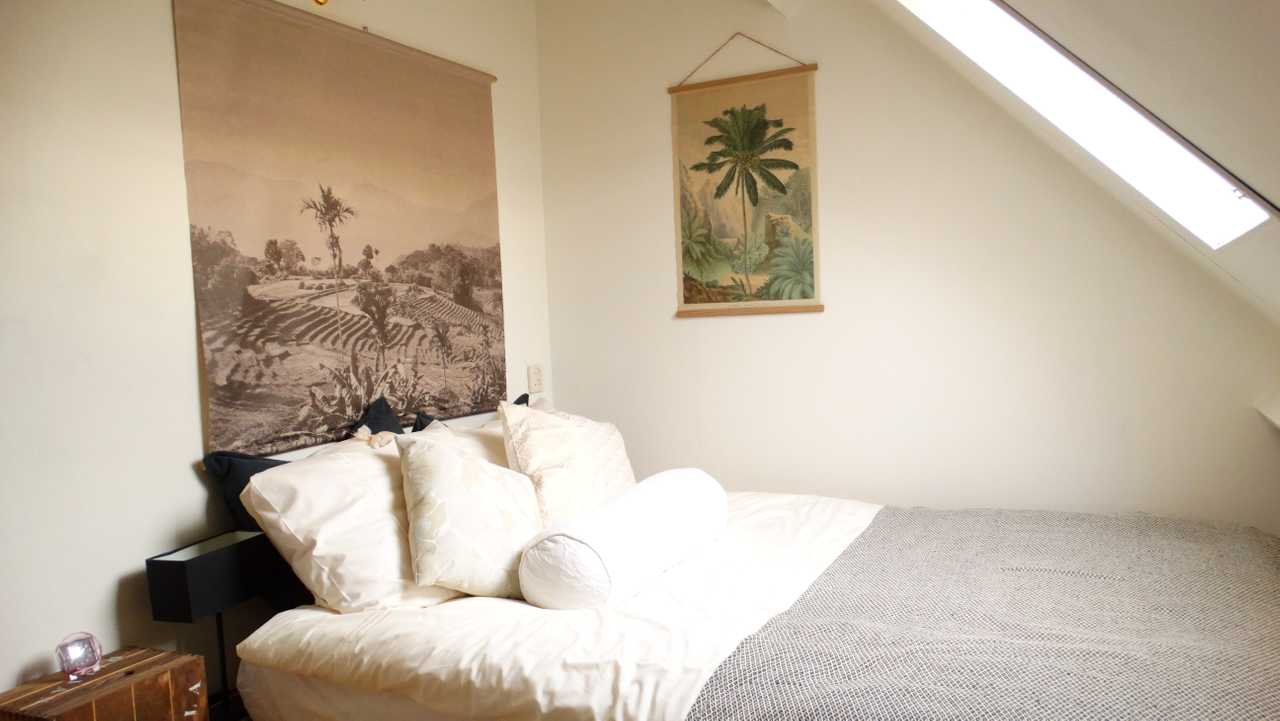 Private bedroom, 100% vegan hotel, half & full board available. Wadden sea area.