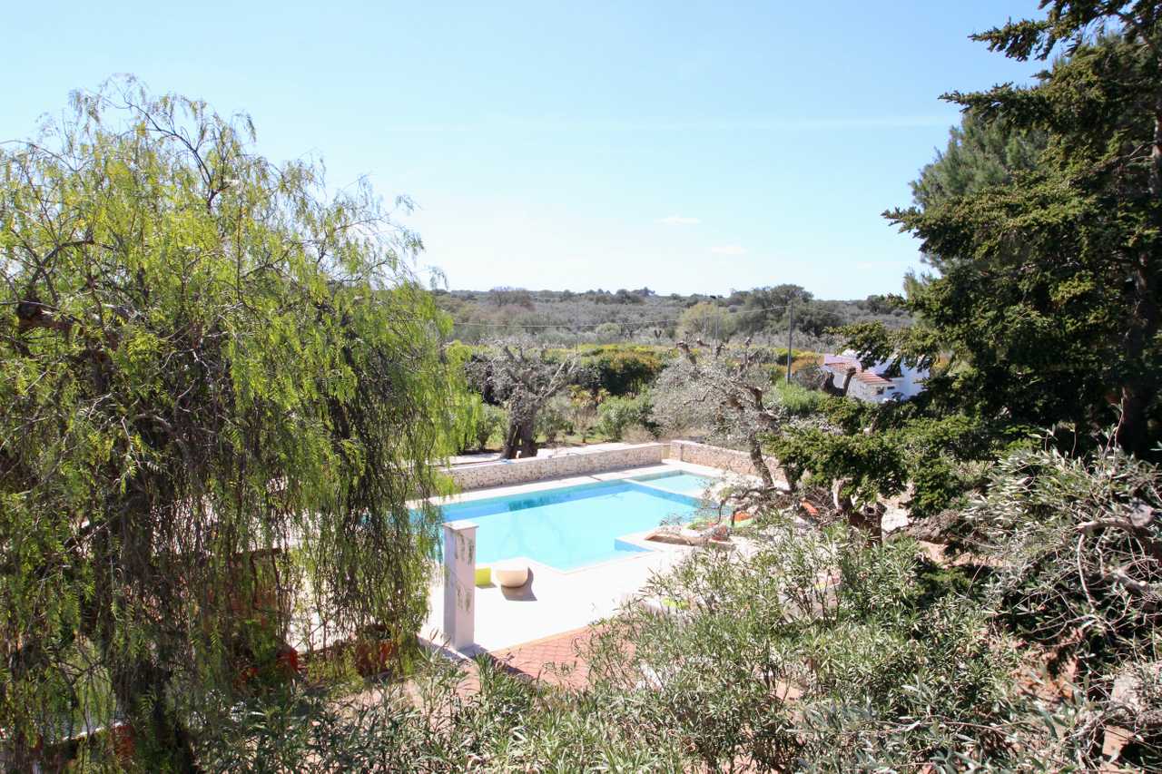 Luxury villa in midst of an ancient olive grove, ideal for families