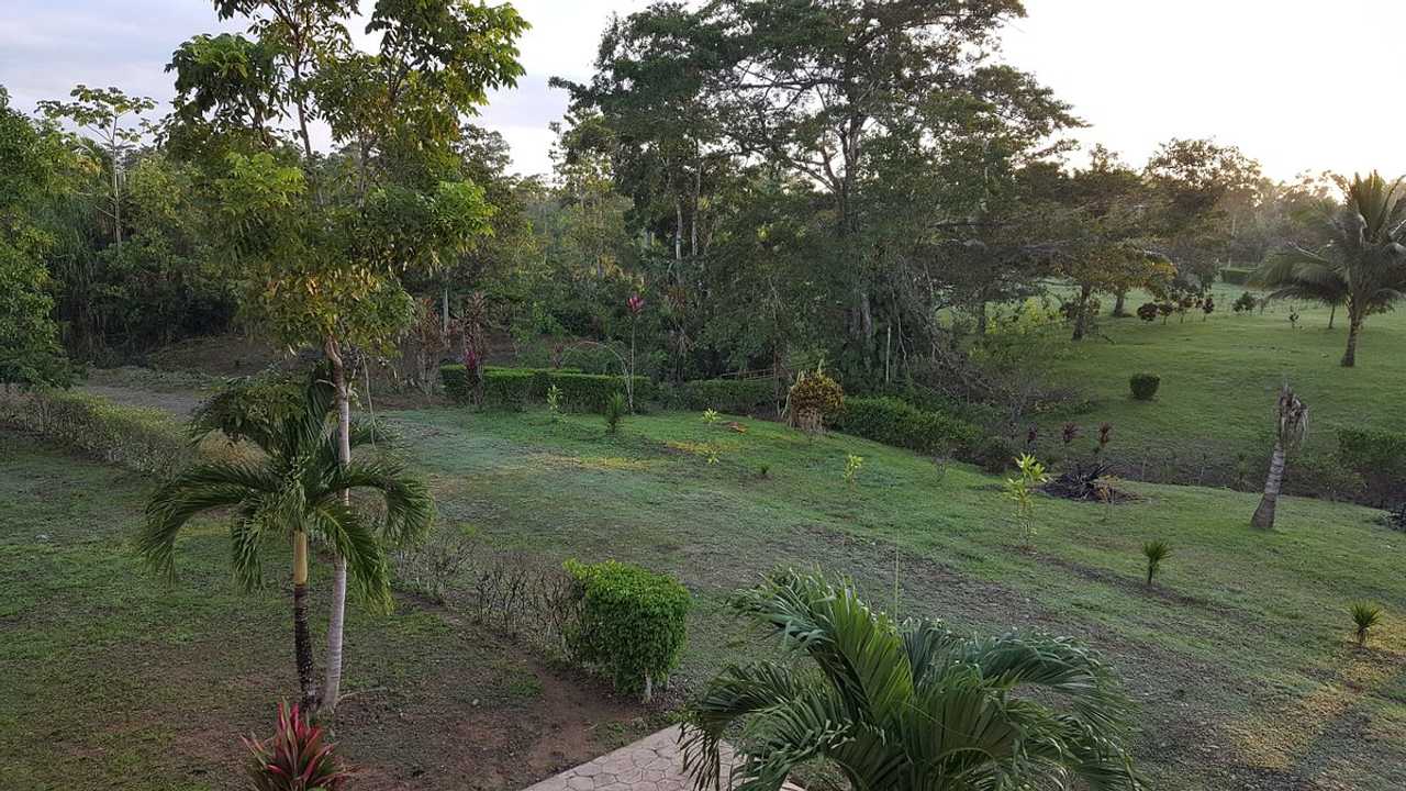 Cozy Vegan Suite - Connect W/ Self & Nature