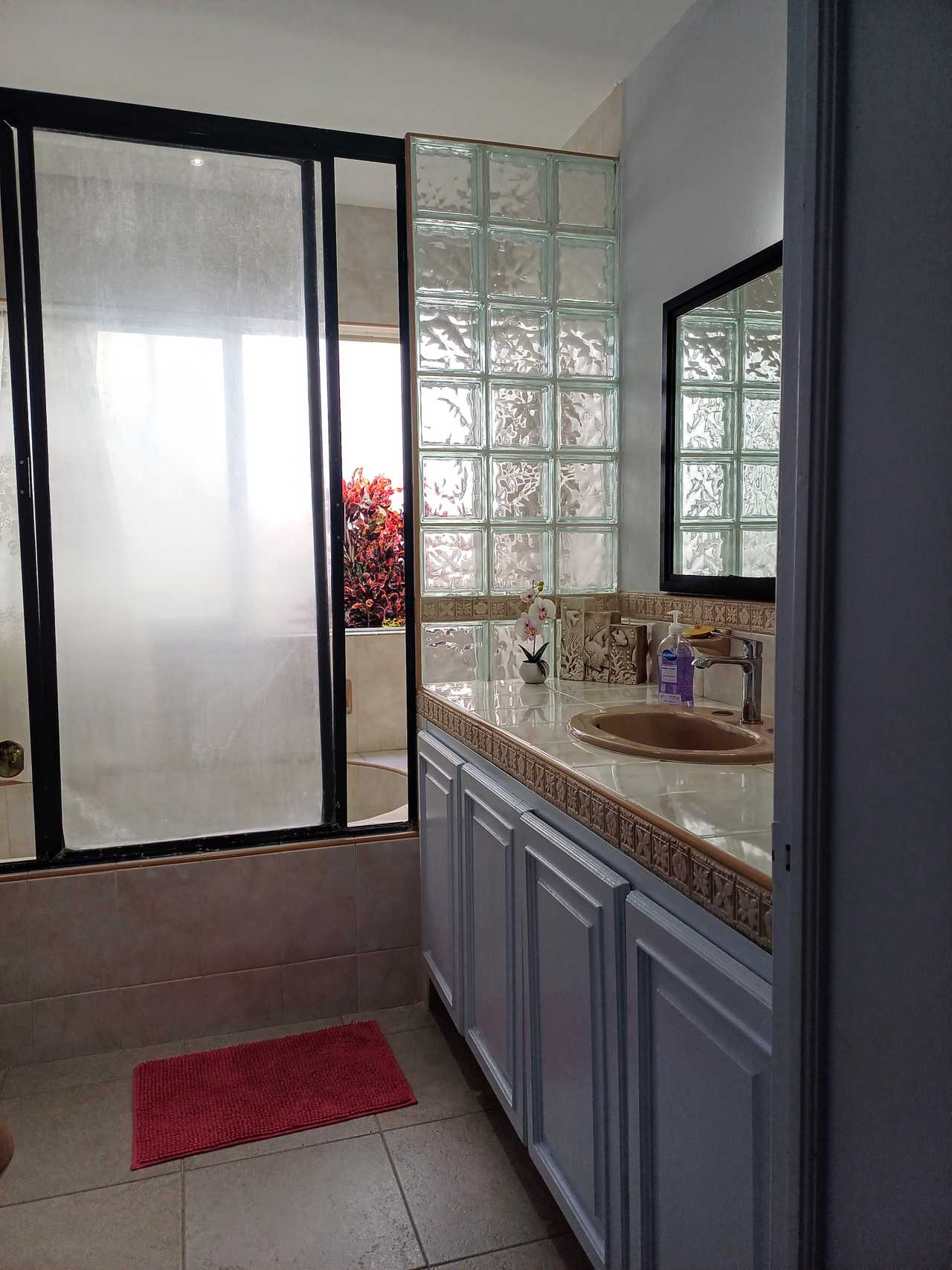 PURPLE LOTUS COZUMEL Fibre optics WIFI, baranda, pool, walking distance to town