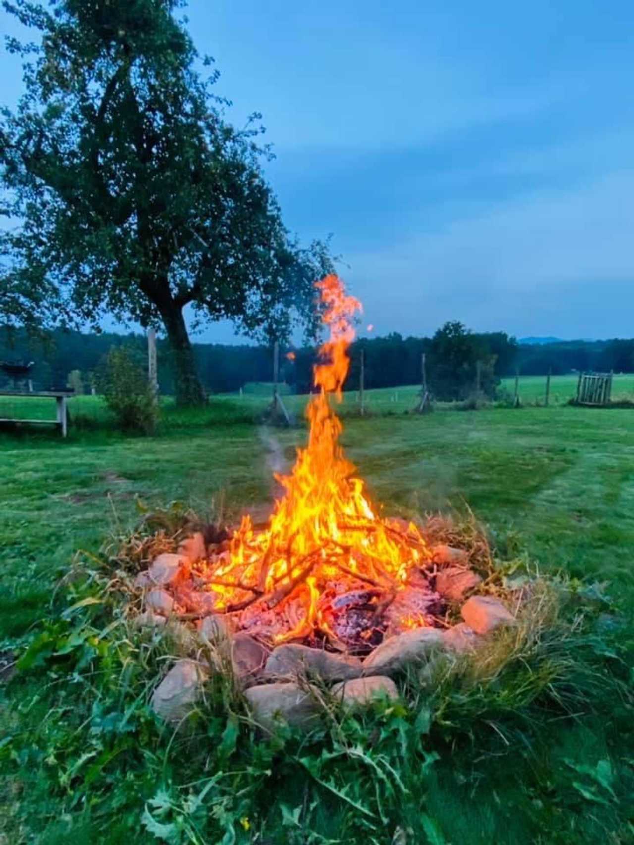 Varm - the vegan farm - a kind of sanctuary for animals and humans