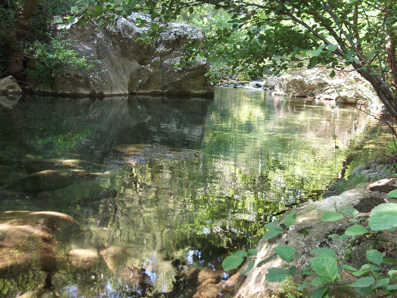 Back to Nature at the Mill!