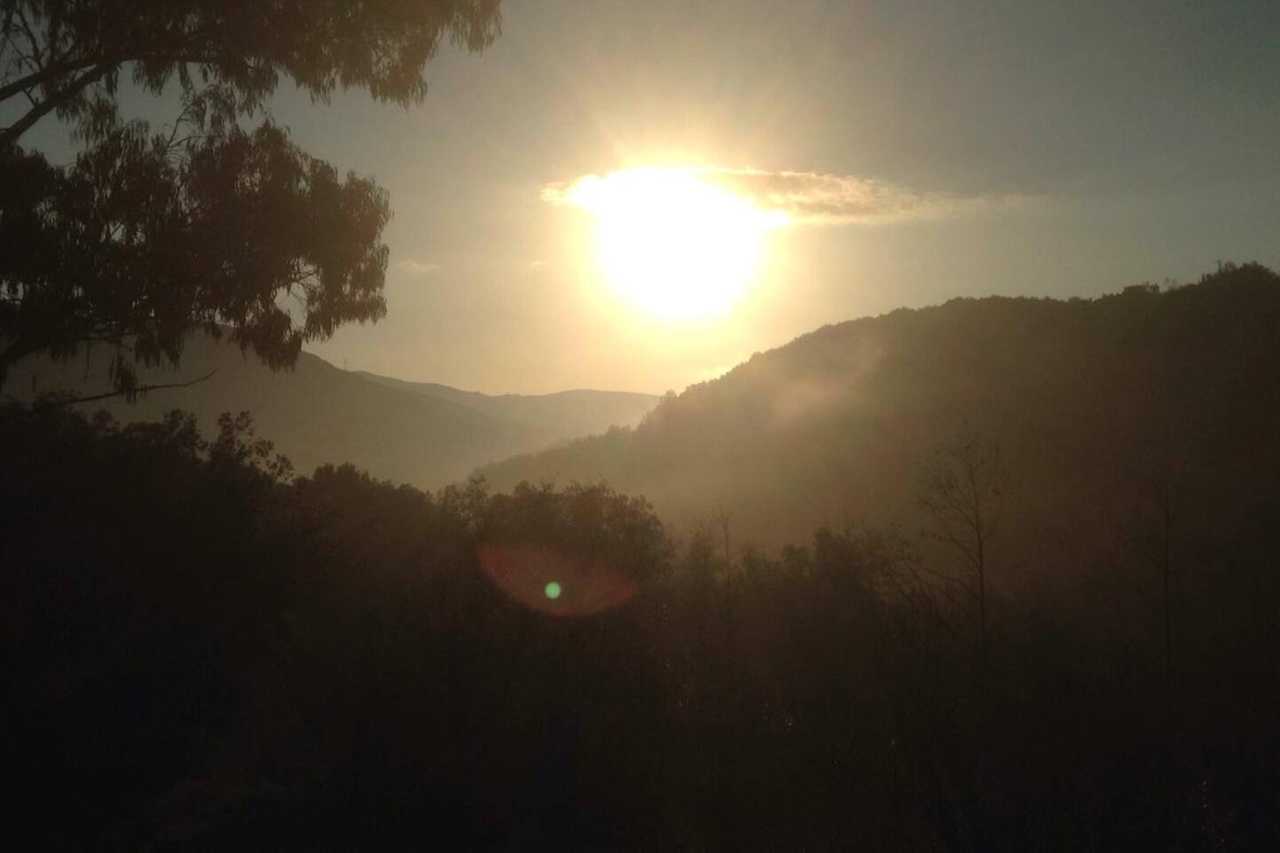Loqat@mitjanas: Immerse yourself in green at our cosy homestay