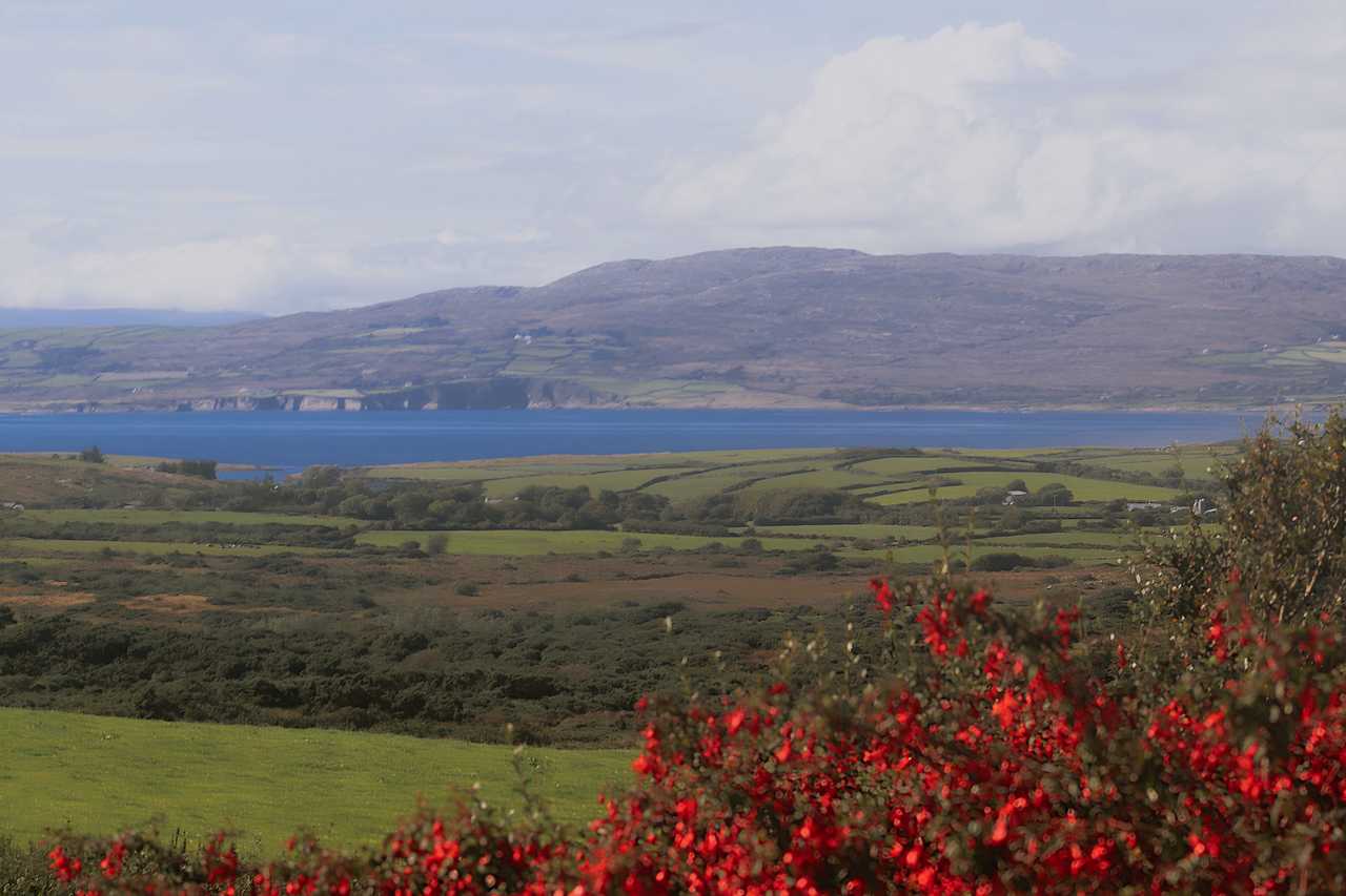 Dove Haven, self contained apartment in beautiful rural area to relax and unwind