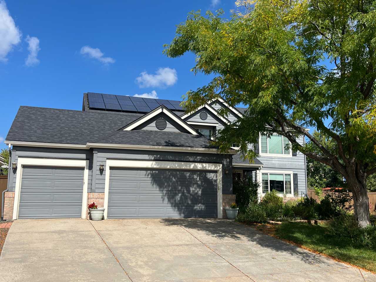 Bed & Bath in Quiet Suburb South of Denver. Vegan Home. Must Love Dogs