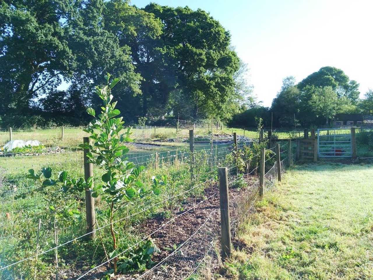 Double room in tranquil New Forest cottage