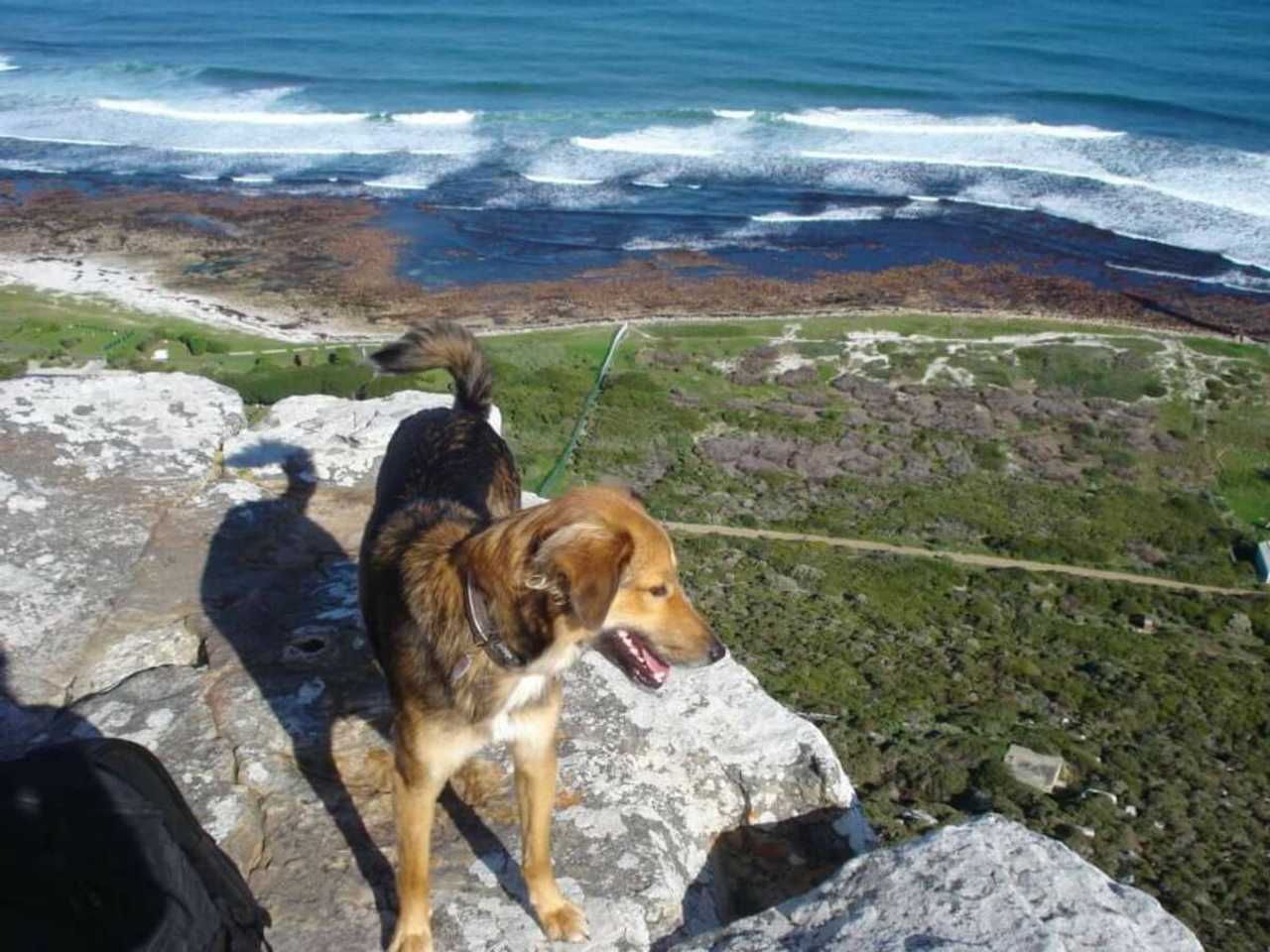 Magical, peaceful and good for the soul, Kommetjie
